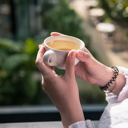 Hotel Deskopolitan House 3*