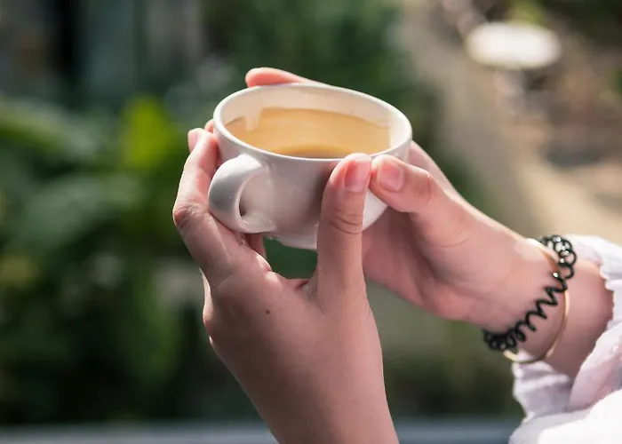 Hotel Deskopolitan House 3*